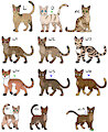 Cat Clan Adopt [OPEN] by Werewolfbusiness