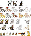 Cat Clan Adopt [OPEN] by Werewolfbusiness