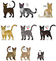Cat Clan Adopt [OPEN] by Werewolfbusiness