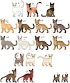 Cat Clan Adopt [OPEN] by Werewolfbusiness