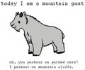 mountain goat