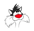 Loony Tunes Practice
