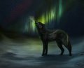 No Answers by LostWolfSpirit