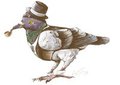 Dapper Pigeon by daigonite