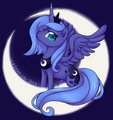 Bright Side of the Moon