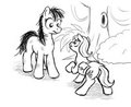 Feral mare