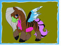 mlp