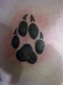 second tattoo done by me by Rokyo