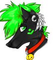new gauges by Rokyo