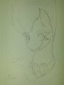 SpitFire by MarigAAeroWing
