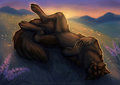 Left-handed Sketch: Afternoon Nap by Naira