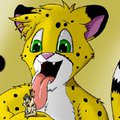 Got myself a mouse! by Desert Mouse