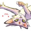 Sonic cat forms