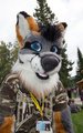 Muzzle