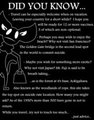 Terrifying Feline by ShaneFrost