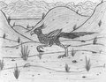 Roa Sketch