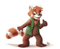Jim the red panda