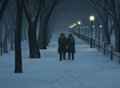 Central Park at night by Baraturts