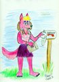 Checking the Mailbox