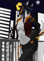Mika Stellar P CGHQ 