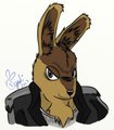 bbbuuu's starfox OC (commission#1) by xXShikaYukiXx
