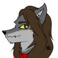 My request from ian_arcticus  by JorgeTheWolfdog