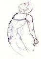 5 Minute Muscle Study