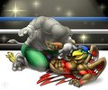 A UFC Match with Brick by SUPERHYPERFALCON