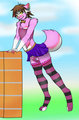 Pink Wolfy [Xdress Version]