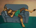 Taking a Nap