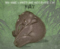 Sad baby Elephant