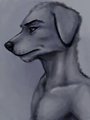 Bust Speedpaint