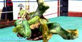 RaphxMikey - This Time I won by SilverCrystal