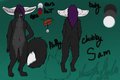 Sam Ref Sheet by MusiclovinFox