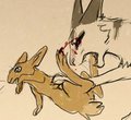 Warriors: Rabbit foot