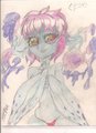 Cteno by Stumpage