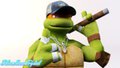 TMNT - Who is the coolest Turtle in the World? by SilverCrystal