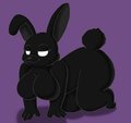 Shadow Bunny