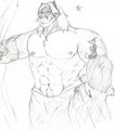 strong Fox