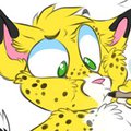 Dafu is this?? by Spamcat!