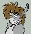 Sarcadonk  by Sarcy