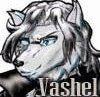 Vashel Tremor by VashelTheWolf