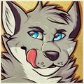 New Icon