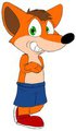Crash Bandicoot