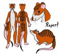 Rupert Meerrat