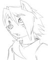 Random Request: Stripes-the-Raccoon