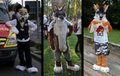 All my critters