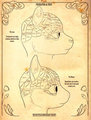 Furry Phrenology