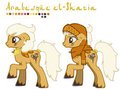 Various MLP OCs