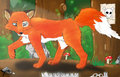 Fox by WingedFoxX